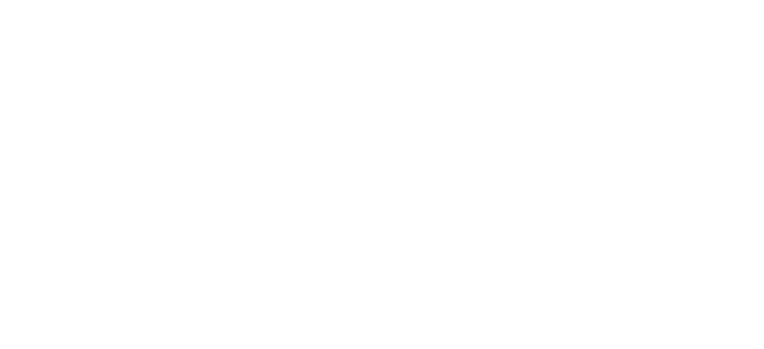 Race Coast Logo White